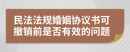 民法法规婚姻协议书可撤销前是否有效的问题