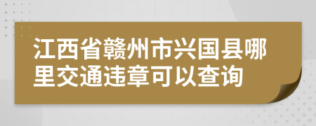 江西省赣州市兴国县哪里交通违章可以查询