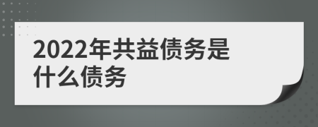 2022年共益债务是什么债务