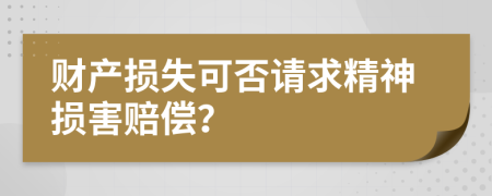 财产损失可否请求精神损害赔偿？