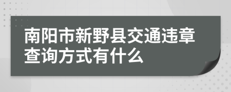 南阳市新野县交通违章查询方式有什么