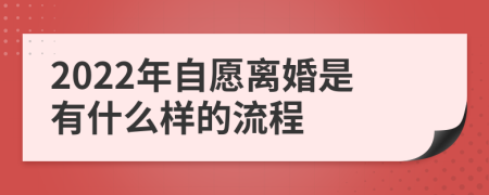 2022年自愿离婚是有什么样的流程