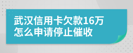 武汉信用卡欠款16万怎么申请停止催收