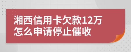 湘西信用卡欠款12万怎么申请停止催收