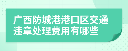 广西防城港港口区交通违章处理费用有哪些