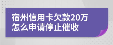 宿州信用卡欠款20万怎么申请停止催收