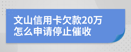 文山信用卡欠款20万怎么申请停止催收