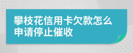 攀枝花信用卡欠款怎么申请停止催收