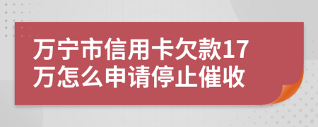 万宁市信用卡欠款17万怎么申请停止催收