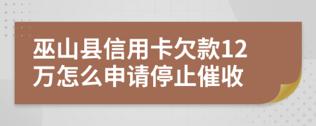 巫山县信用卡欠款12万怎么申请停止催收
