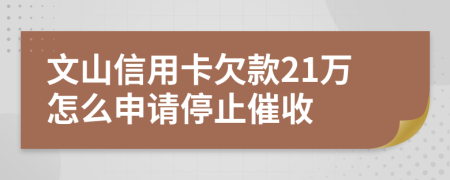 文山信用卡欠款21万怎么申请停止催收