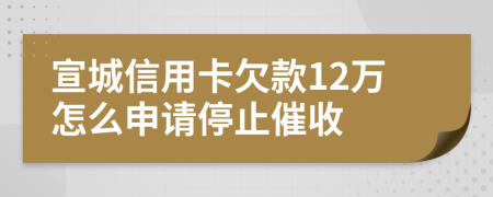 宣城信用卡欠款12万怎么申请停止催收