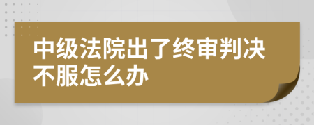 中级法院出了终审判决不服怎么办