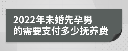 2022年未婚先孕男的需要支付多少抚养费