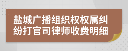 盐城广播组织权权属纠纷打官司律师收费明细