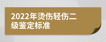 2022年烫伤轻伤二级鉴定标准