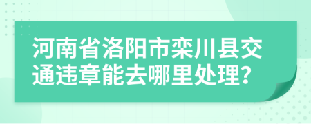 河南省洛阳市栾川县交通违章能去哪里处理？