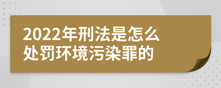 2022年刑法是怎么处罚环境污染罪的