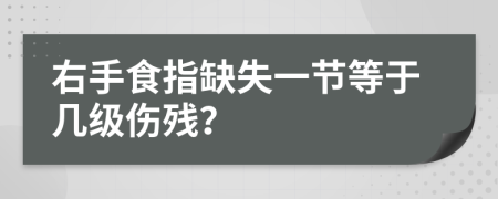 右手食指缺失一节等于几级伤残？