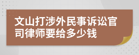 文山打涉外民事诉讼官司律师要给多少钱