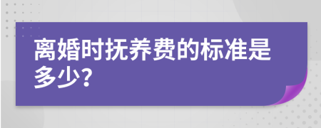 离婚时抚养费的标准是多少？