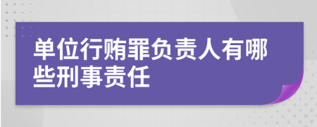 单位行贿罪负责人有哪些刑事责任