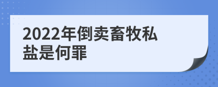 2022年倒卖畜牧私盐是何罪