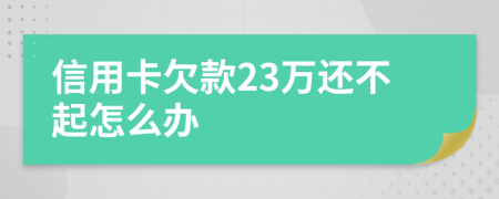 信用卡欠款23万还不起怎么办