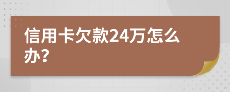 信用卡欠款24万怎么办？