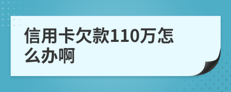 信用卡欠款110万怎么办啊