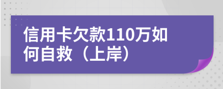 信用卡欠款110万如何自救（上岸）