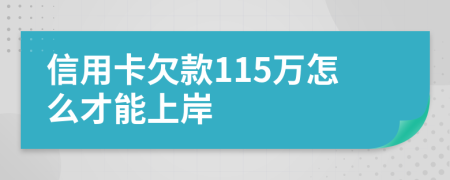 信用卡欠款115万怎么才能上岸