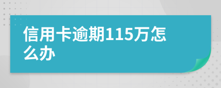 信用卡逾期115万怎么办