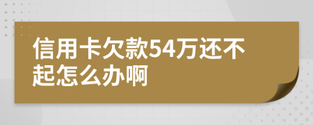 信用卡欠款54万还不起怎么办啊