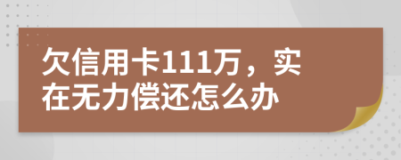 欠信用卡111万，实在无力偿还怎么办