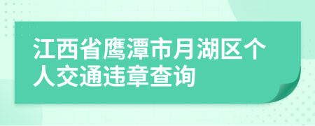 江西省鹰潭市月湖区个人交通违章查询