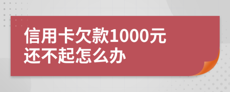 信用卡欠款1000元还不起怎么办