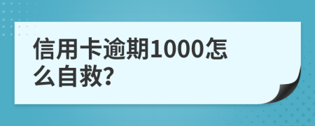 信用卡逾期1000怎么自救？