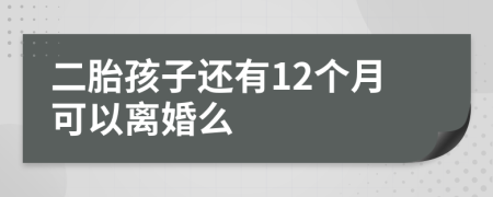 二胎孩子还有12个月可以离婚么