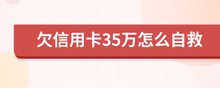 欠信用卡35万怎么自救