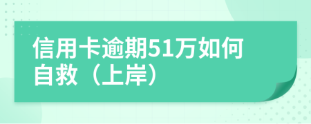 信用卡逾期51万如何自救（上岸）