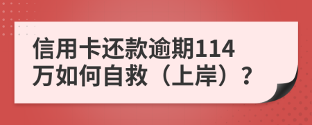 信用卡还款逾期114万如何自救（上岸）？