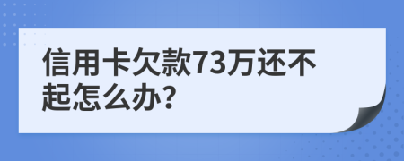 信用卡欠款73万还不起怎么办？
