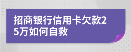 招商银行信用卡欠款25万如何自救