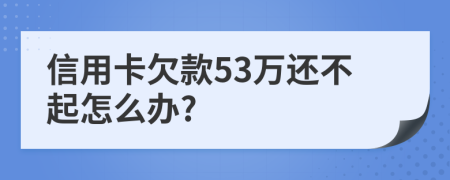 信用卡欠款53万还不起怎么办?