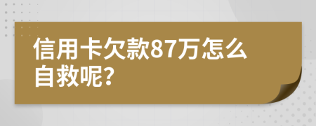 信用卡欠款87万怎么自救呢？