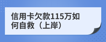 信用卡欠款115万如何自救（上岸）