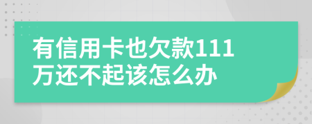 有信用卡也欠款111万还不起该怎么办