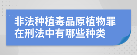 非法种植毒品原植物罪在刑法中有哪些种类