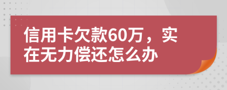 信用卡欠款60万，实在无力偿还怎么办